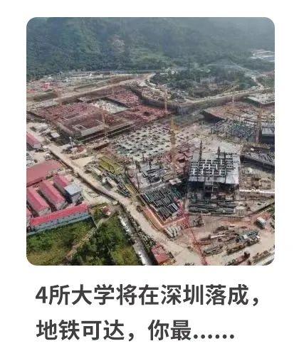 四码中特内部资料,高效性设计规划_NVT51.273轻奢版