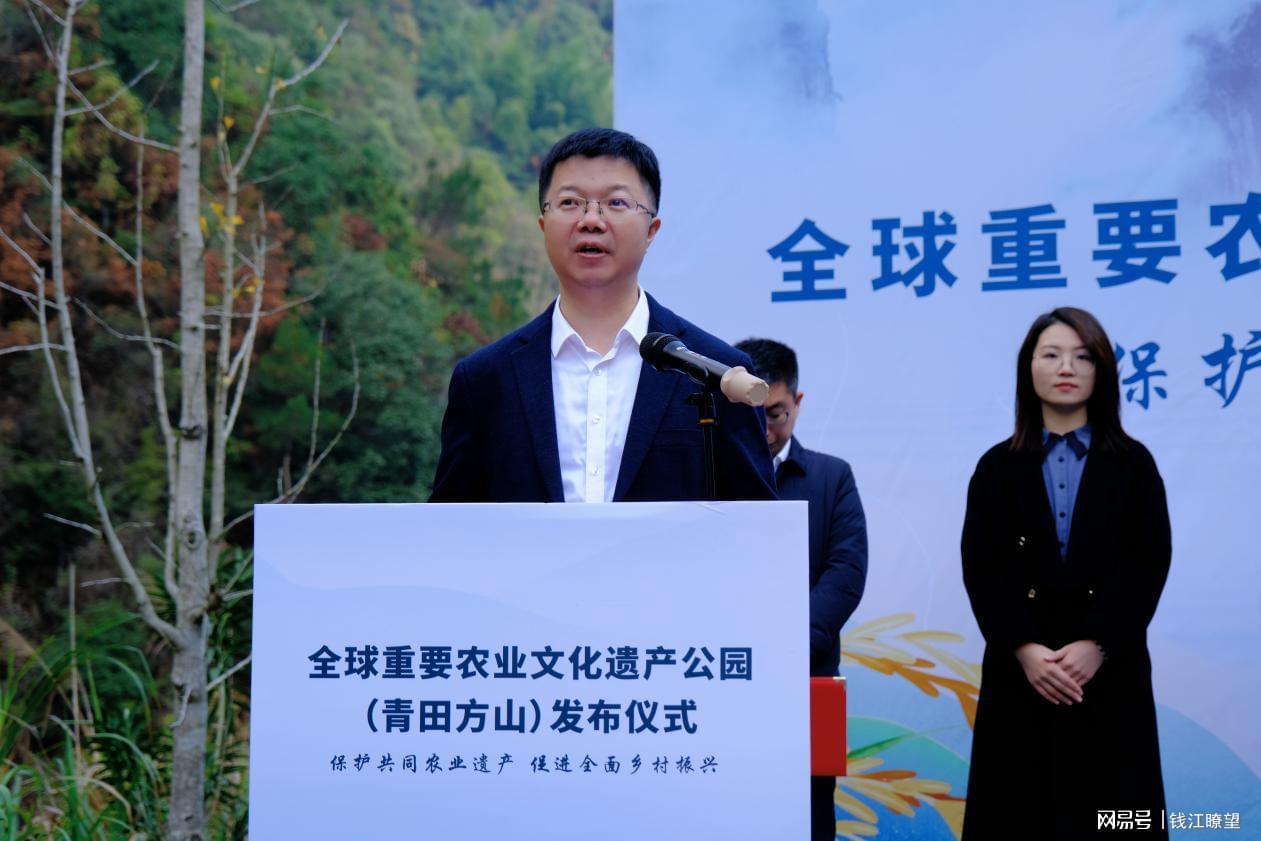 青田县最新副县长名单及其背后的故事揭秘