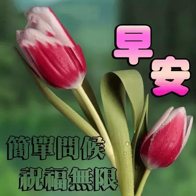 最新早上好带字图片，开启美好一天的温馨祝福与问候