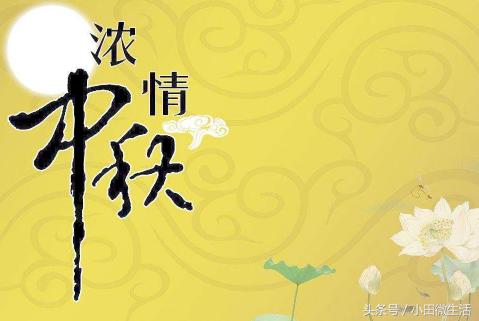 莱州欧泰重工 第624页