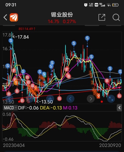 锡业股份最新动态与小巷深处的特色小店探秘