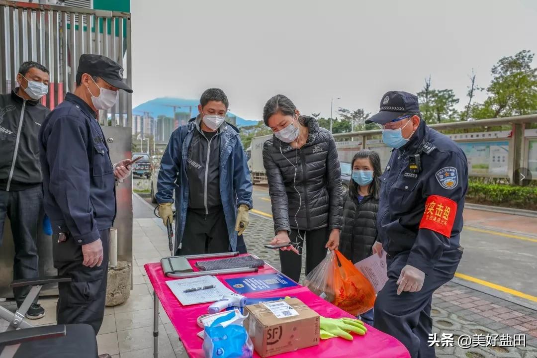 盐田港股票最新动态与小巷深处的惊喜