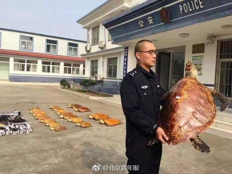 北京公交线路调整最新动态，重塑城市出行脉络