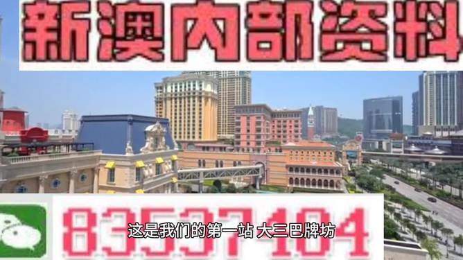 2024澳门免费资料,正版资料,权威说明解析_N版96.879