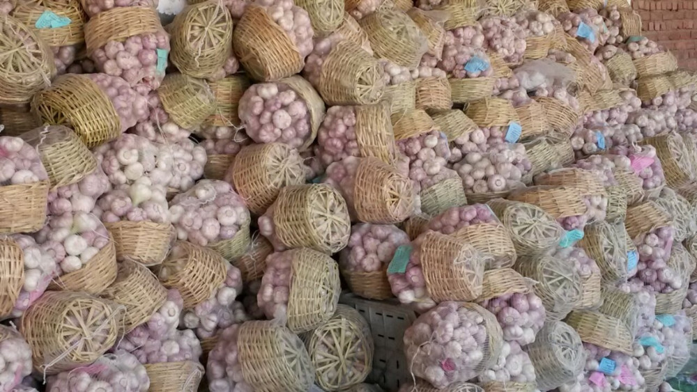 国际大蒜贸易网最新价格揭秘，大蒜价格动态及小巷深处的独特风味小店