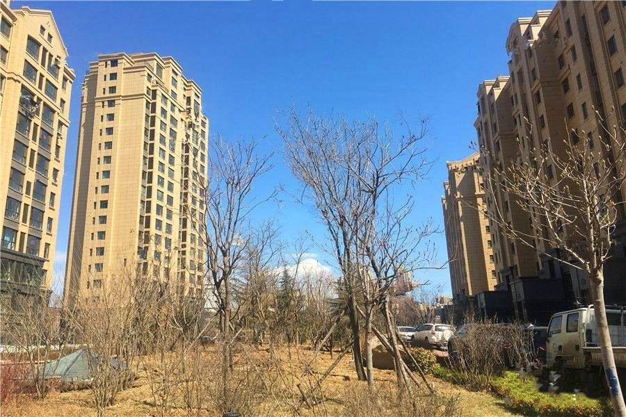 揭秘大连益丰乾城最新房价走势及房价信息🏠