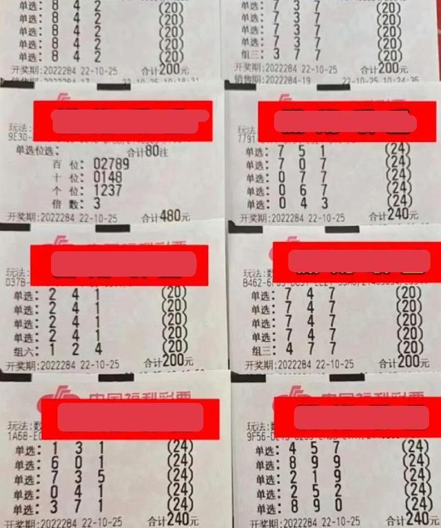 中国福利彩票最新开奖结果，运气与责任的碰撞