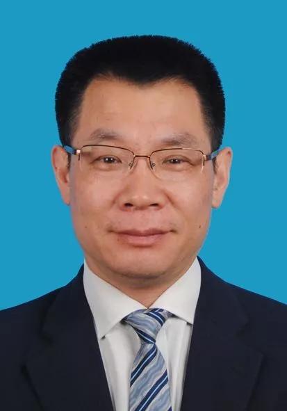 2024新奥资料免费下载：精准预测与分析指南