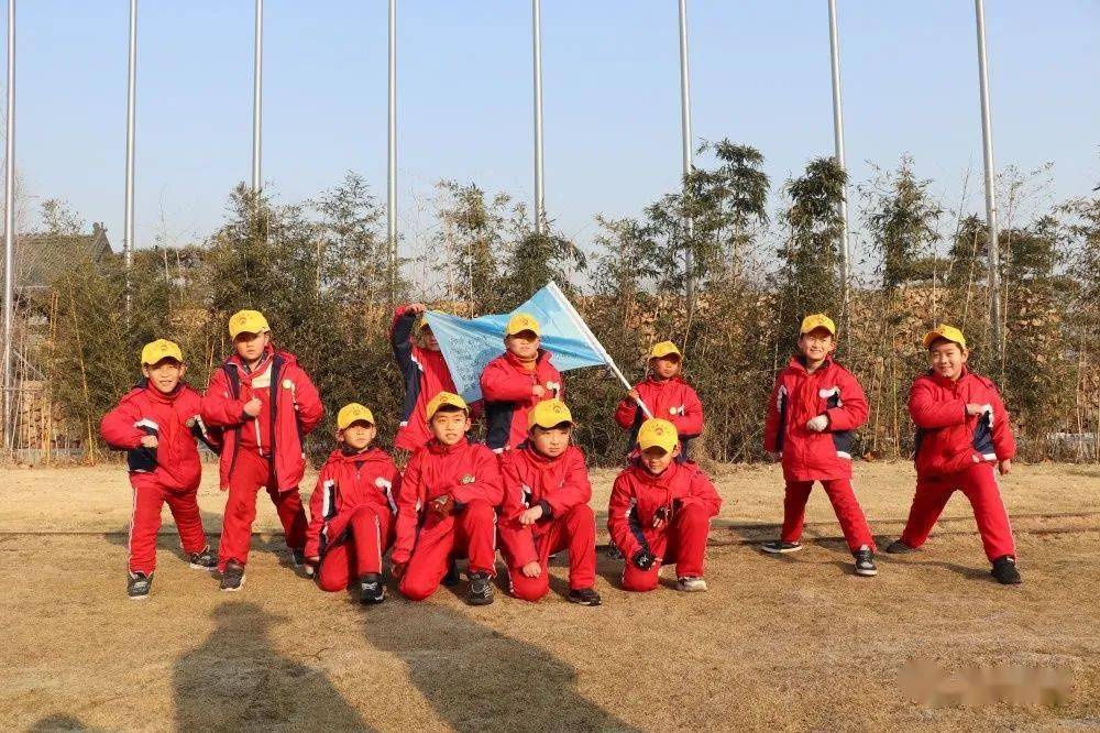 山东宁阳贴吧最新消息,山东宁阳贴吧最新消息，探寻宁阳新动态