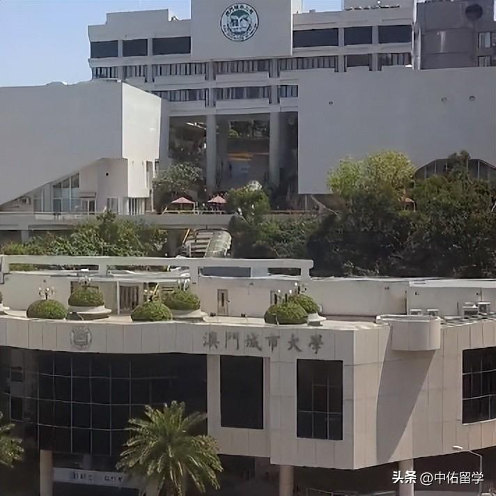 2024年澳门精准免费大全：全方位体验与精彩活动