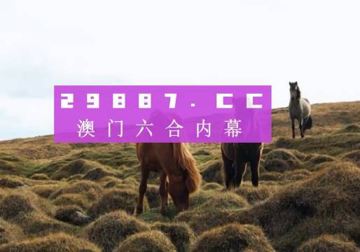 澳门六开奖结果今天开奖记录查询数据分析