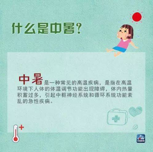探索7777788888新版跑狗图：赛马迷的必备指南