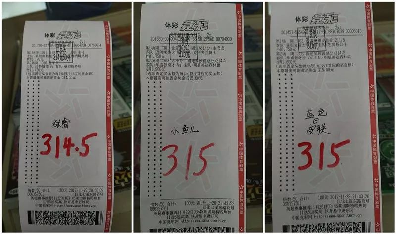 2024澳门天天开好彩免费大全：彩券中奖后的税务规划