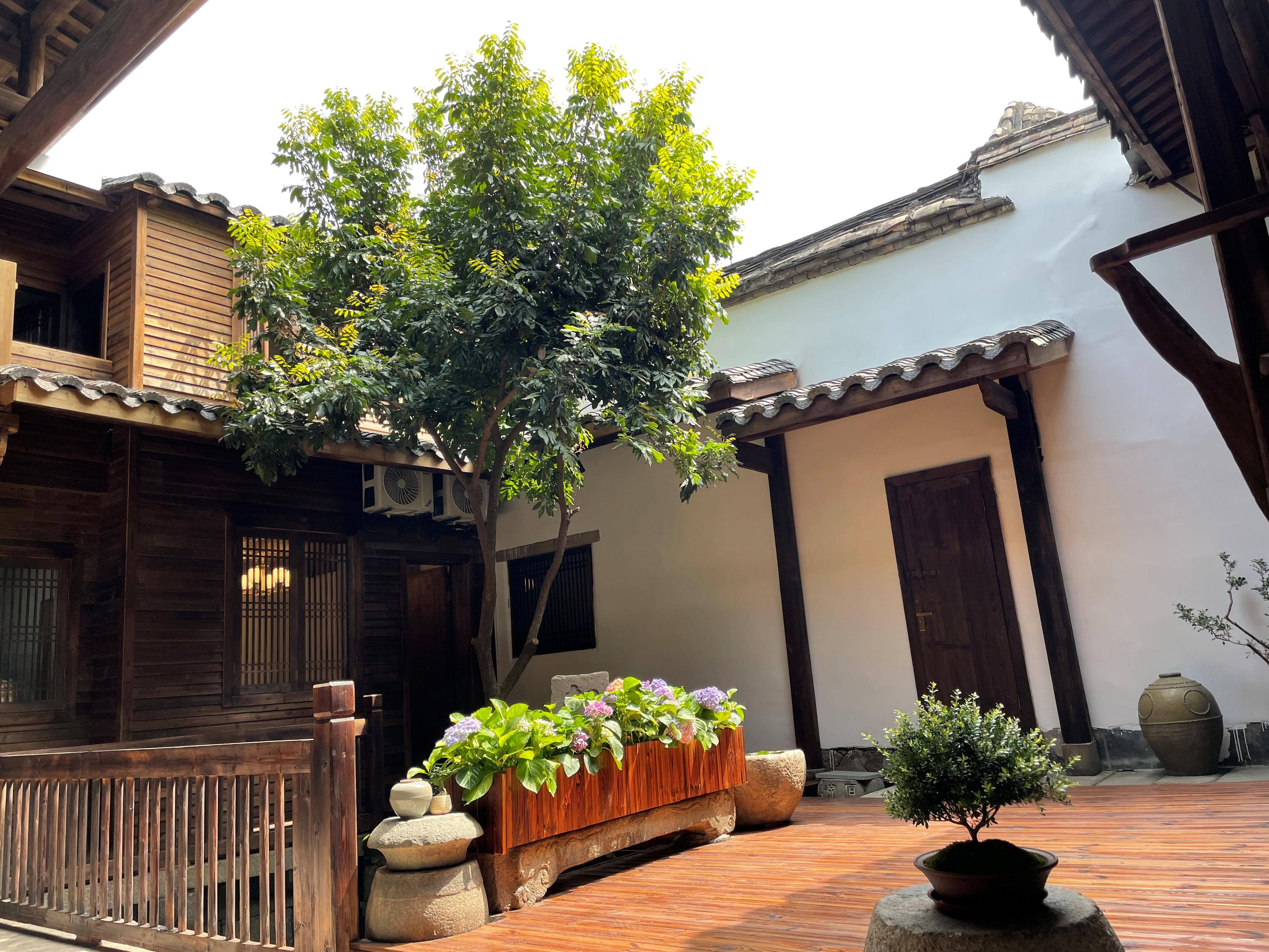 探索自然奥秘，寻觅内心宁静的旅程