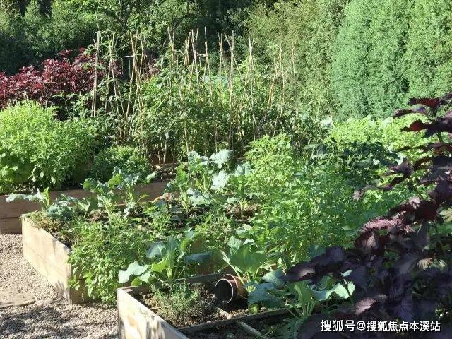打造私人绿意空间，最新种植技术助你开启绿色生活之旅