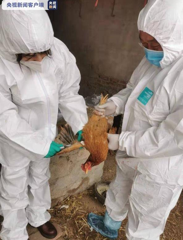沈阳最新疫情动态及城市应对挑战保护生命健康的策略