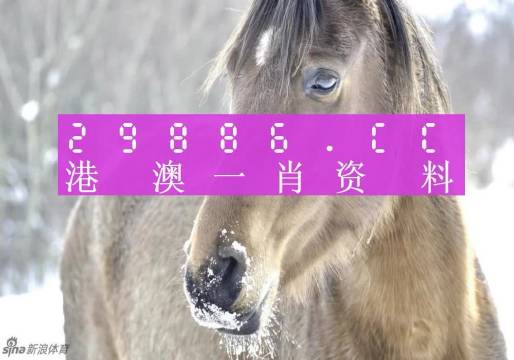 澳门免费精准一笑一码,专家解说解释定义_ZFG78.578拍照版