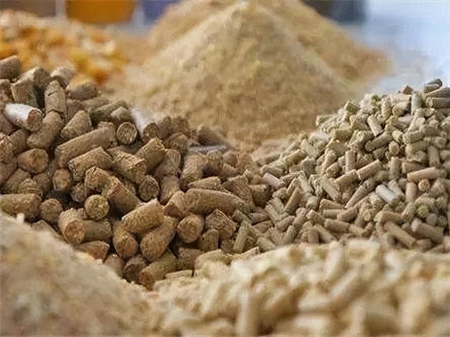 科技智能预测重塑畜牧业体验，最新猪价格动态更新