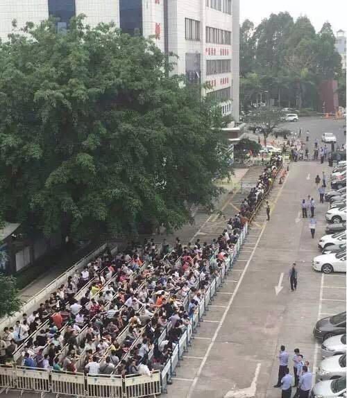 东莞小车上牌最新消息详解，流程步骤指南