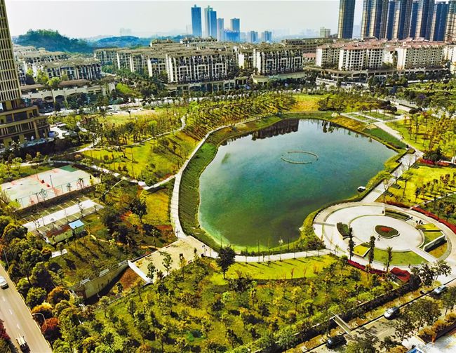 绿地香湖湾最新动态及巷弄深处的独特小店揭秘