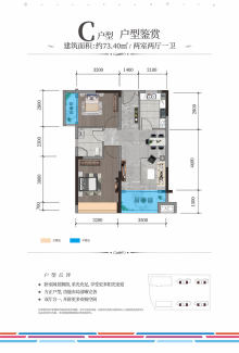 柳州市房价最新消息概览，最新动态与市场趋势分析