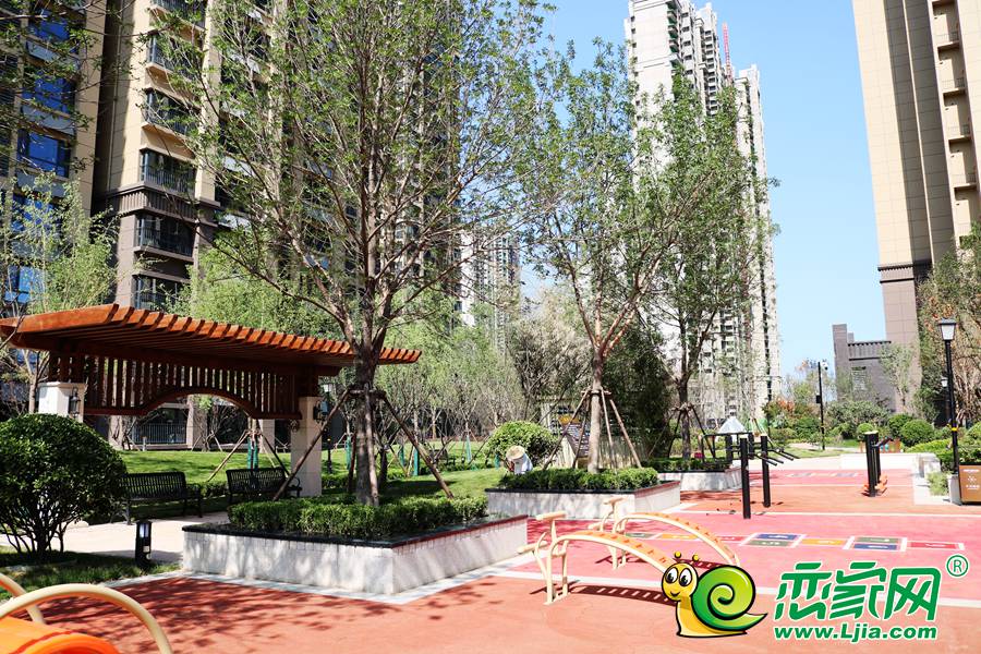 邯郸龙仕公园最新动态揭秘📣🌳