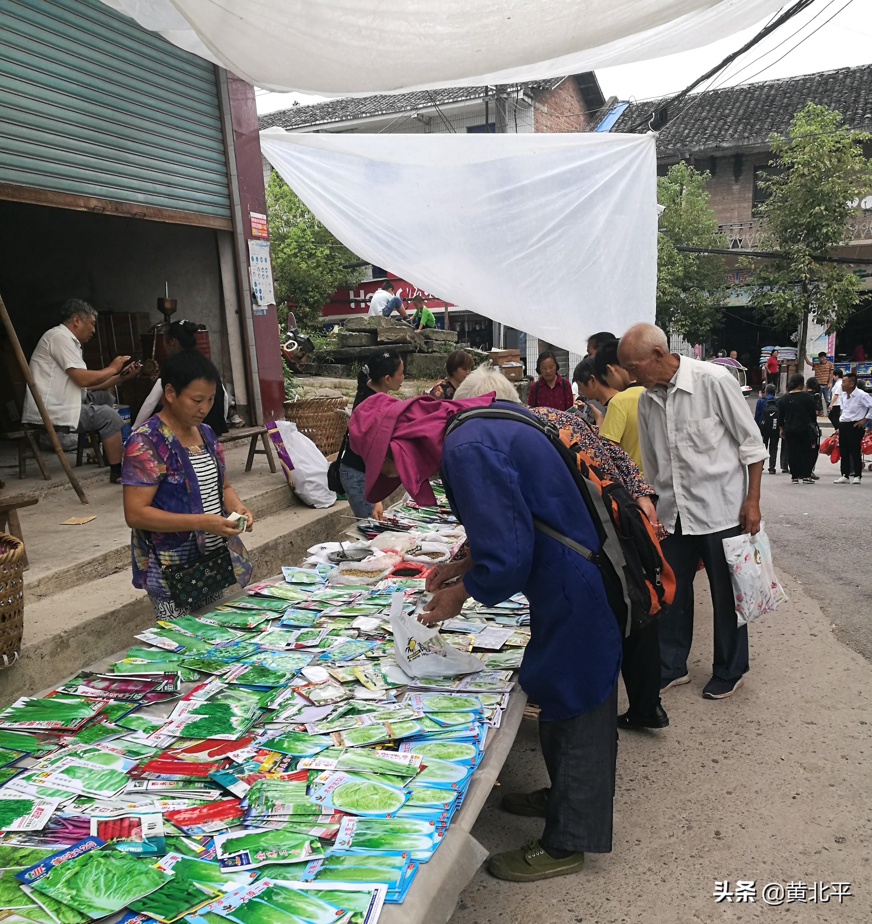 垫江白家最新动态，家族发展与社区影响综述