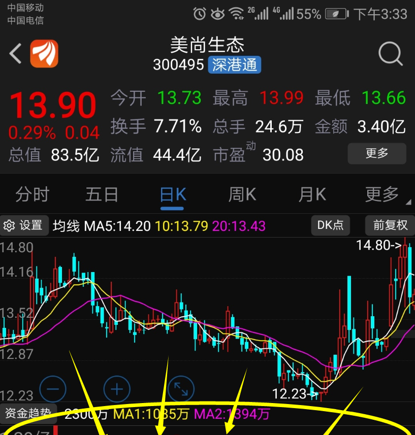 美尚生态股票最新消息深度解析与动态关注