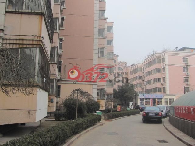 烟台欧尚花园最新消息，邻里间的温馨日常概览