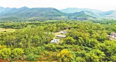 罗定市城区新篇章揭秘，最新规划图展示城市未来面貌