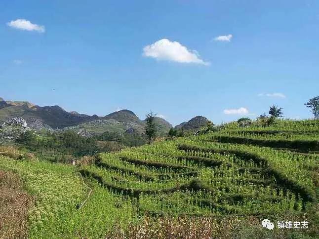 镇雄飞机场最新动态，自然之旅的翅膀已展开