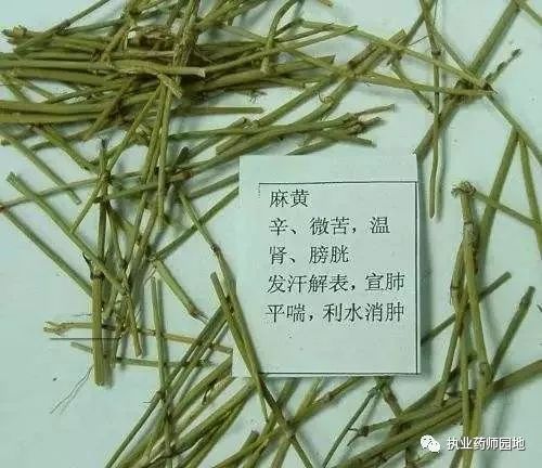 麻黄饮片最新管理办法,麻黄饮片最新管理办法🌿🍃