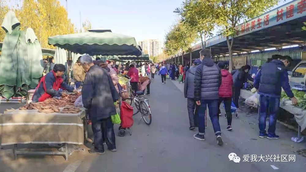 大红门早市科技集市，开启智能生活新纪元最新动态