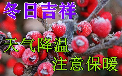 最新动态早上好图片问候