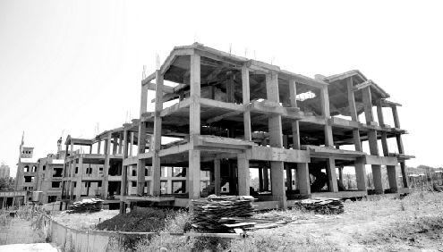 高唐违建最新动态更新，最新消息揭秘