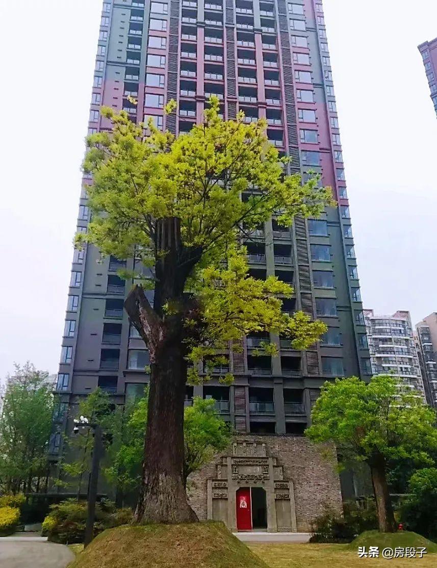 大丰房价最新开盘时间及投资热点，购房指南与趋势分析