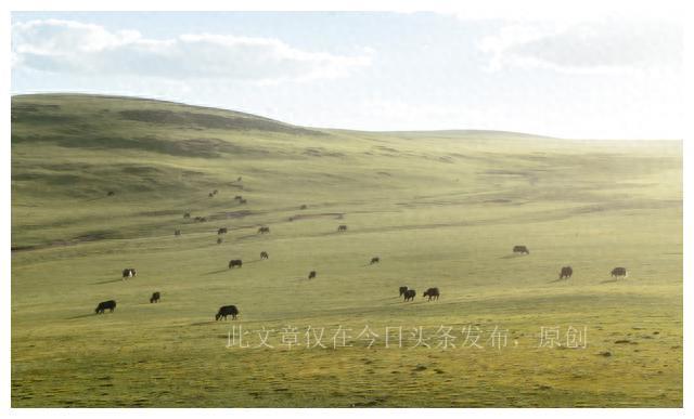 最新原创广场舞，与自然共舞，开启心灵宁静之旅