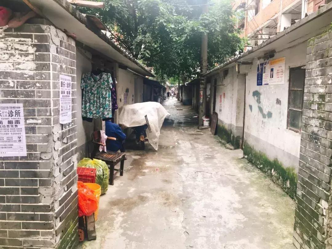最新公交司机招聘，小巷特色小店中的驾驶人才探秘