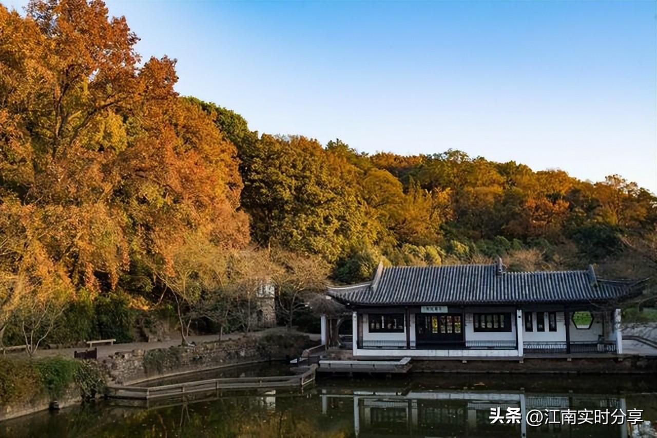 最新平板电脑，小巷中的科技探索之旅！