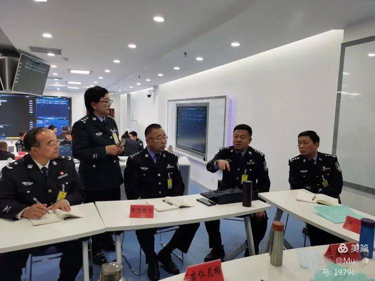 伊川戴松灵最新动态，观点阐述与分析