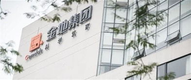金界控股股票，与自然美景的对话之旅