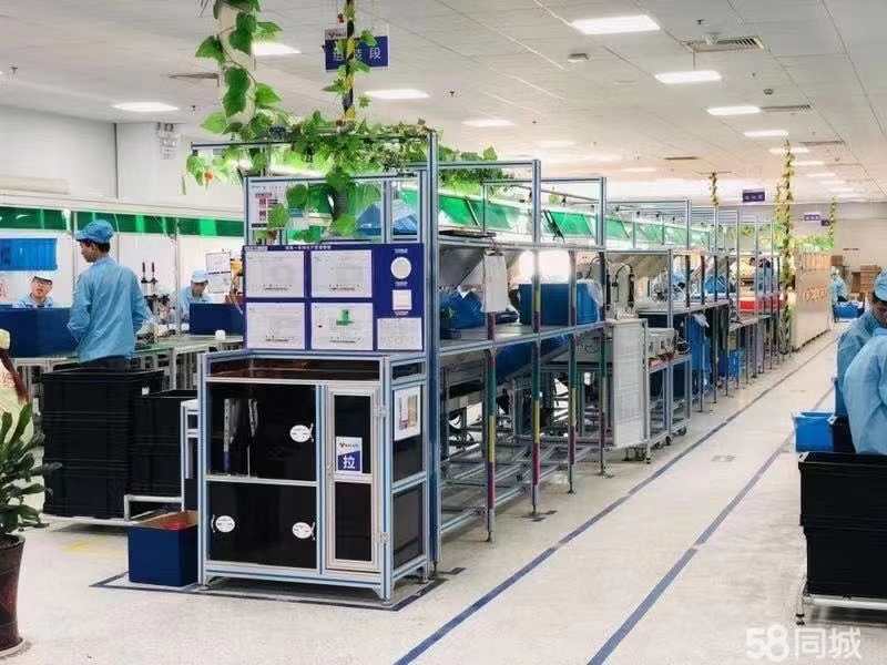 杭州泰格电子招聘启事，最新职位信息及要求汇总