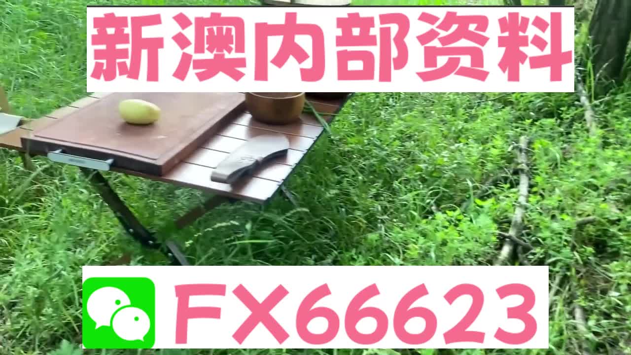 新澳精准内部码资料期期准,定性解析明确评估_多功能版37.827