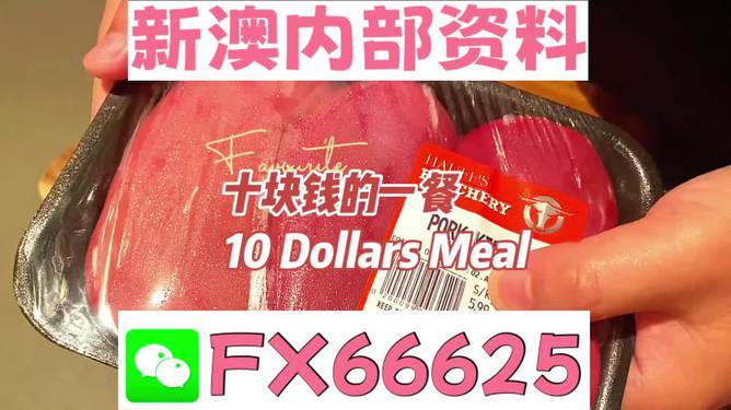 新澳精准资料大全,持续改进策略_掌中宝37.218