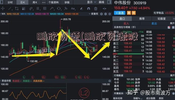 鹏欣资源股票股吧,鹏欣资源股票股吧——投资者的智慧聚集地