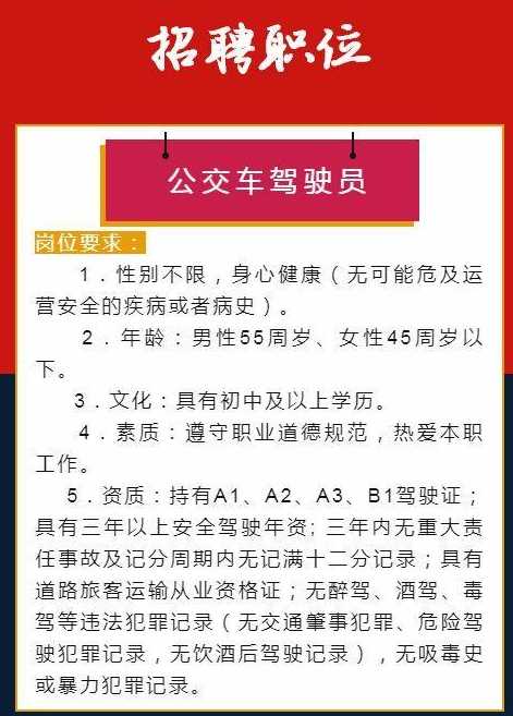 杭州A1驾驶员最新招聘，观点论述与招聘动态