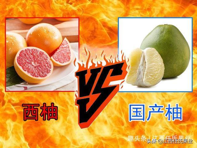 最新打群架现象深度解析与探讨