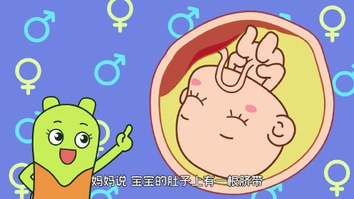 肚皮里的秘密花园，最新小肚皮故事探秘