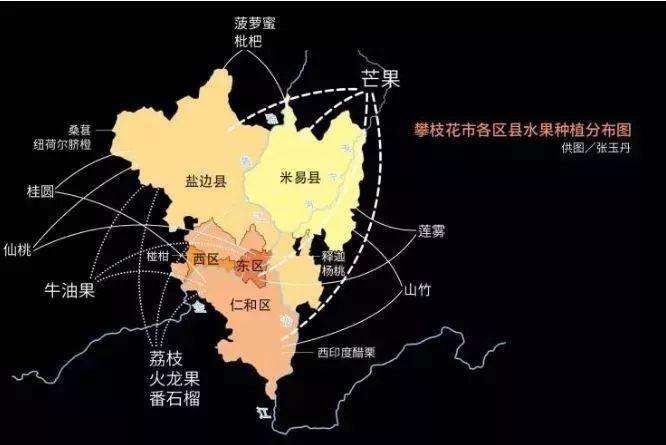 最新钒价格揭秘与投资收藏指南！