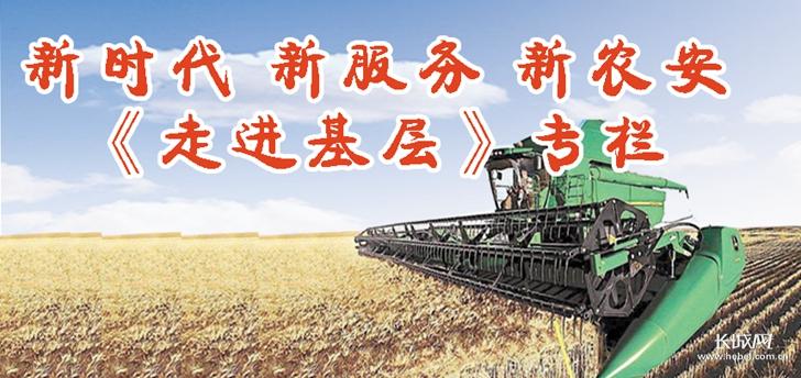 廊坊最新鱼讯揭秘，繁荣水产脉络的探寻之旅